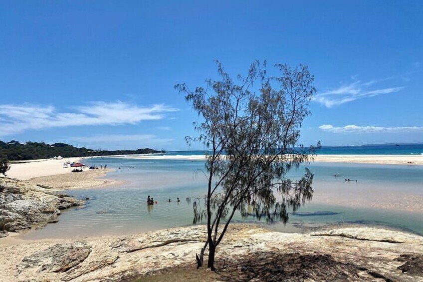 North Stradbroke Island WILDLIFE Adventure Tour from Brisbane 3