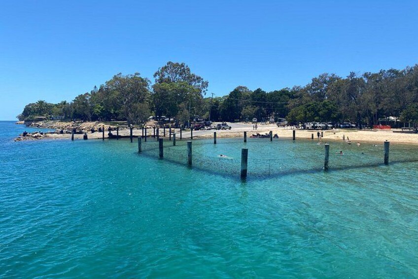 North Stradbroke Island WILDLIFE Adventure Tour from Brisbane 2