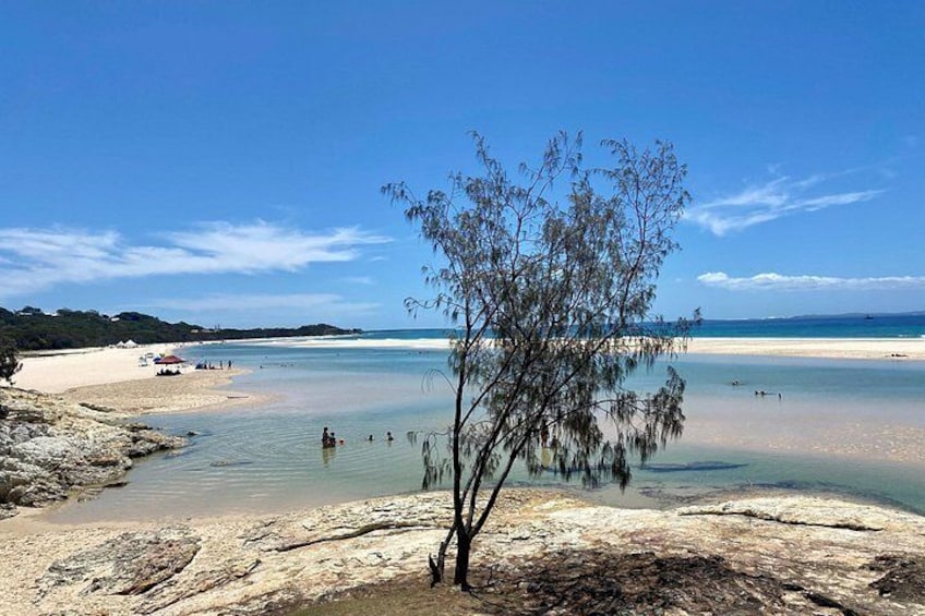 Una playa con agua cristalina, un árbol y colinas a lo lejos. 2