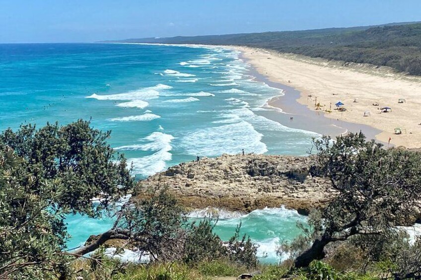 North Stradbroke Island WILDLIFE Adventure Tour from Brisbane 4