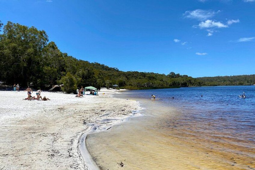 North Stradbroke Island WILDLIFE Adventure Tour from Brisbane 2