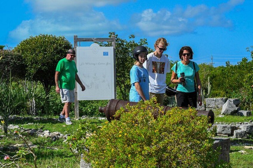 The Plantation experience 5
