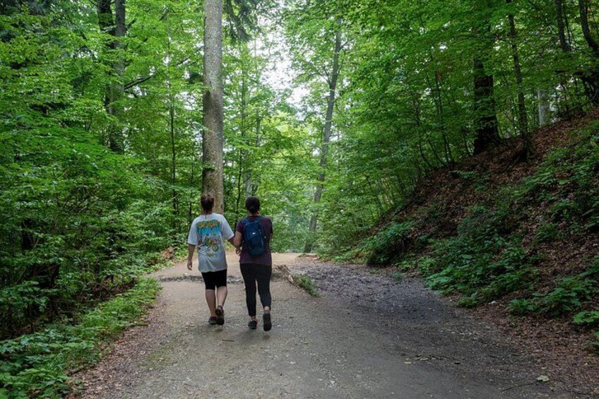 Hike&City Private tour- Peles Castle Tour and Bucegi Natural Park from Brasov 3