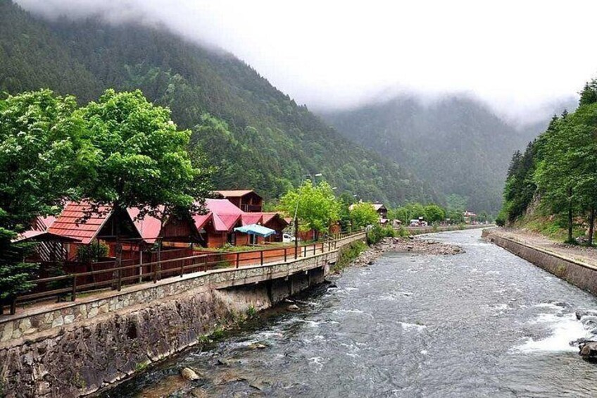 A river with houses on a bridge, surrounded by mountains and greenery. 1