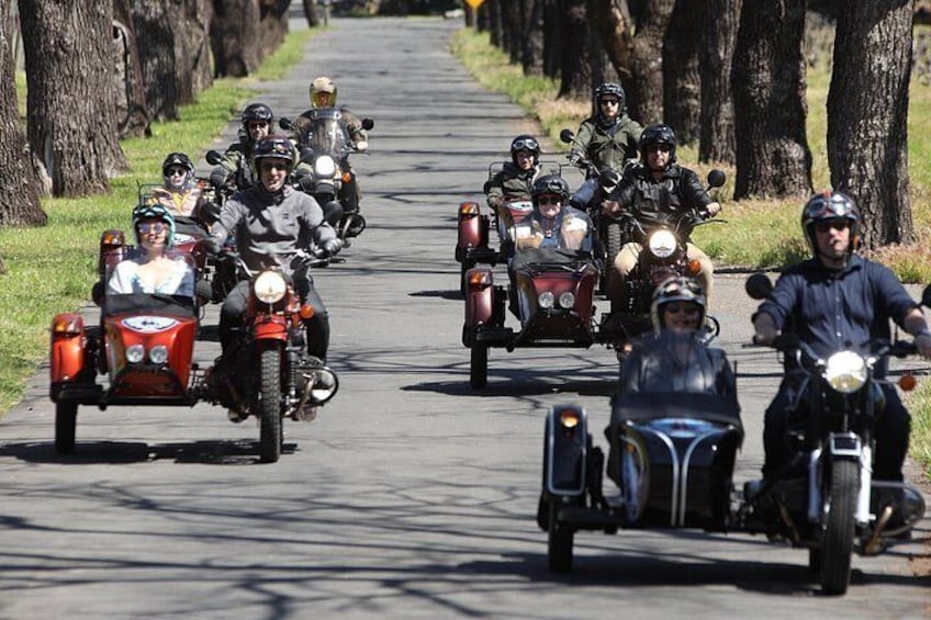 En gruppe motorcyklister kører ad en vej med træer på begge sider. 4
