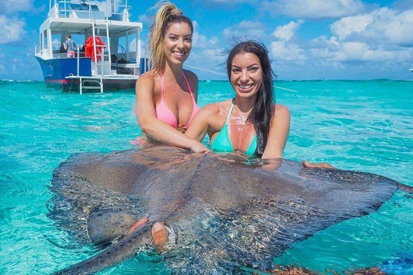 Starfish Point, Stingray City-Sandbar & Coral Gardens 3
