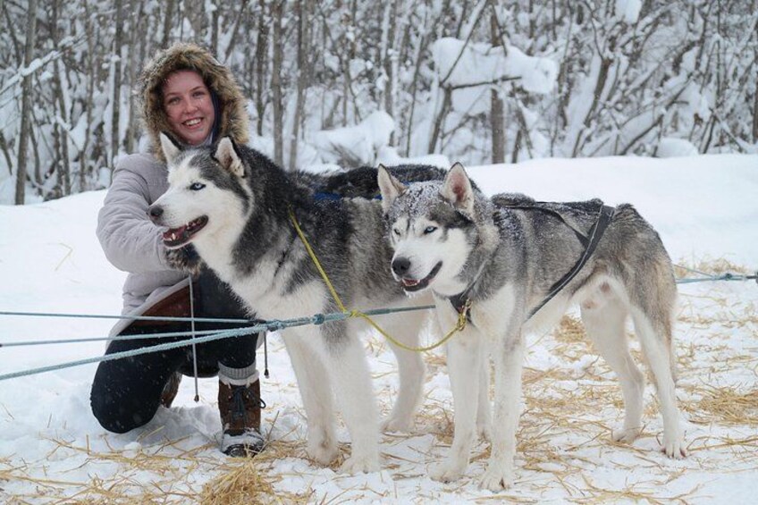 Une personne accompagnée de deux chiens de traîneau dans un paysage enneigé. 5