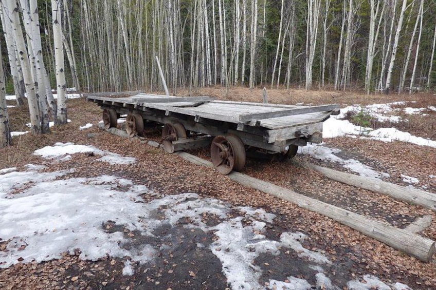 A flatbed trailer parked on a snow-covered ground with birch trees in the background. 5