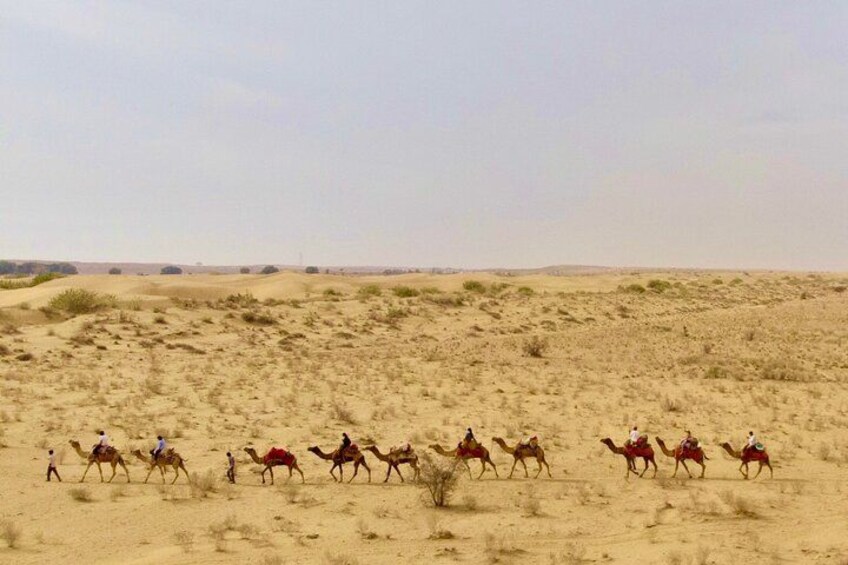 A group of camels with riders in a desert landscape. 3