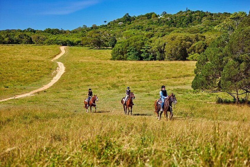 Three people horseback riding on a grassy field with a dirt path and trees in the background. 5