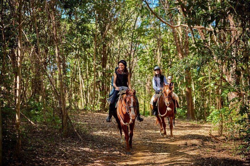 Two people horseback riding on a forest trail. 1