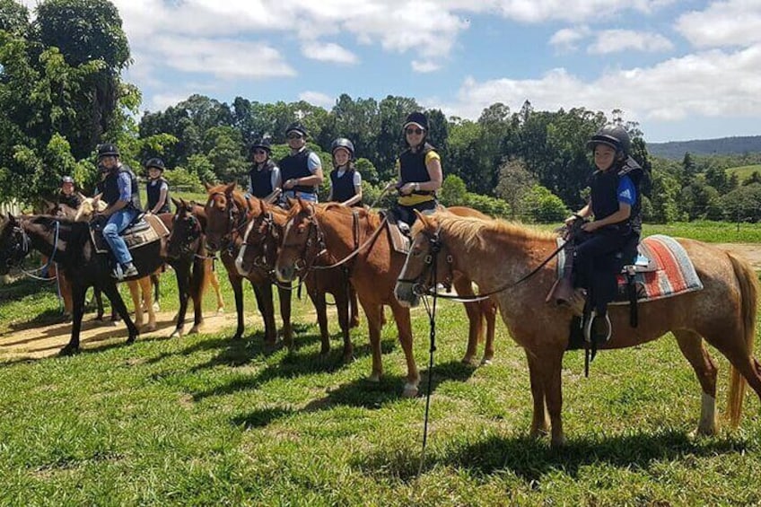 A group of people riding horses on a grassy path with trees in the background. 1