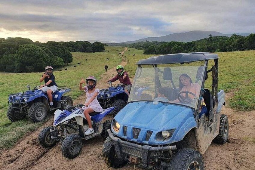 https://www.tripadvisor.com/PreviewImage?p=11&img=192322622 1