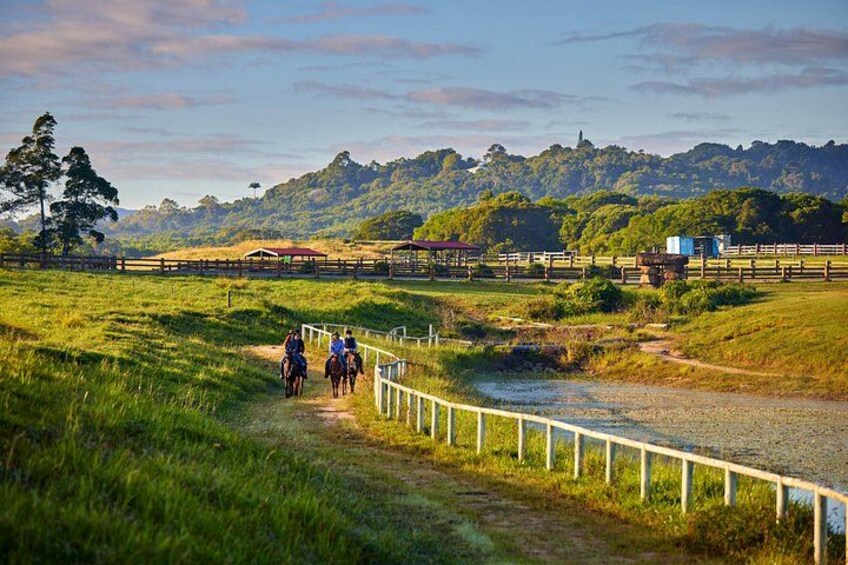 Horse and Quad bike tour with a visit to a Petting Zoo 4