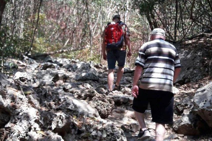 Dos excursionistas en un sendero pedregoso en una zona boscosa. 4