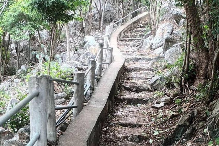 Una escalera de hormigón con barandillas de madera en una zona boscosa. 2