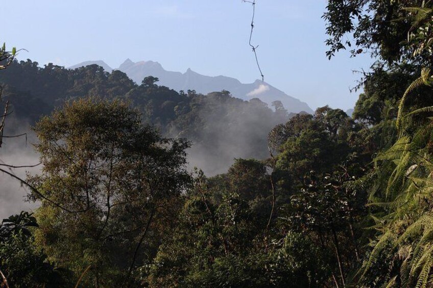 beautiful landscapes of the cloud forest