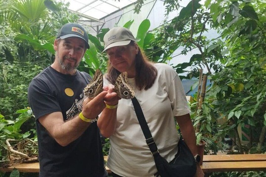 Mindo Cloud Forest tour from Quito:waterfalls hummingbirds and + 3