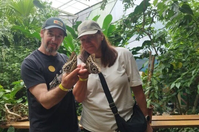 Mindo Cloud Forest tour from Quito:waterfalls hummingbirds and + 3