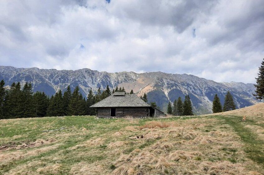 A cabin in a grassy field with mountains in the background. 5
