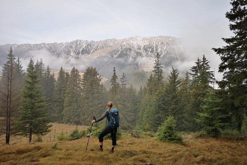 A hiker in a forest with a mountain in the background. 4