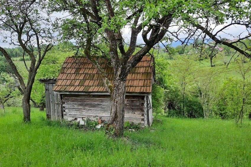 A rustic wooden cabin with a metal roof, surrounded by lush green grass and trees in a rural landscape. 3