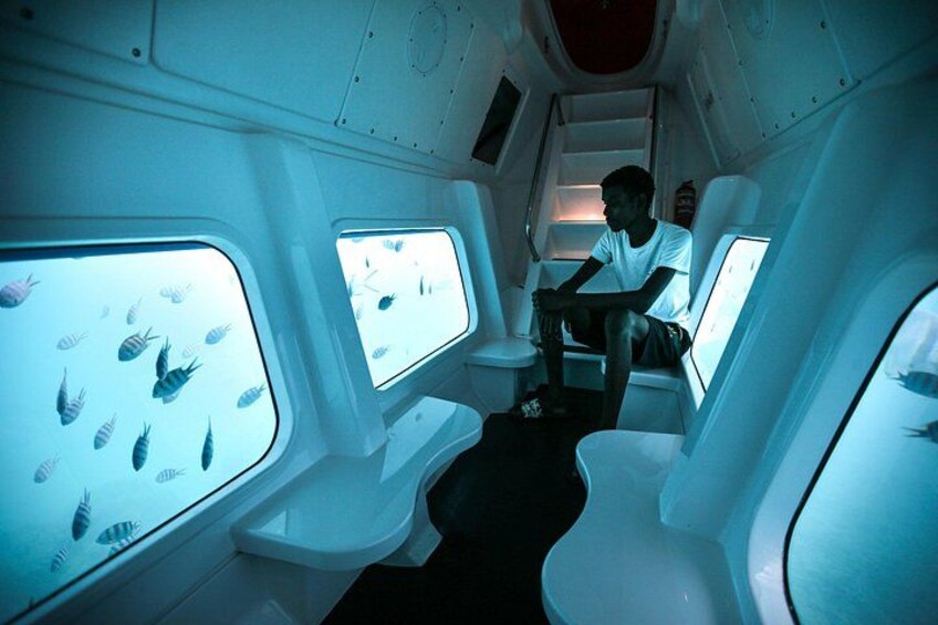 Semi Submarine Tour in Saint Anne Marine National Park 4