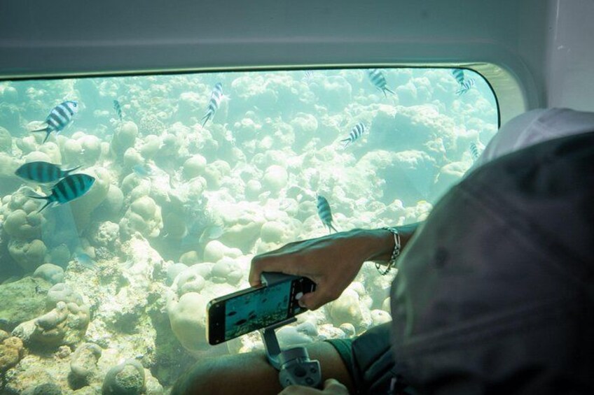 Semi Submarine Tour in Saint Anne Marine National Park 2