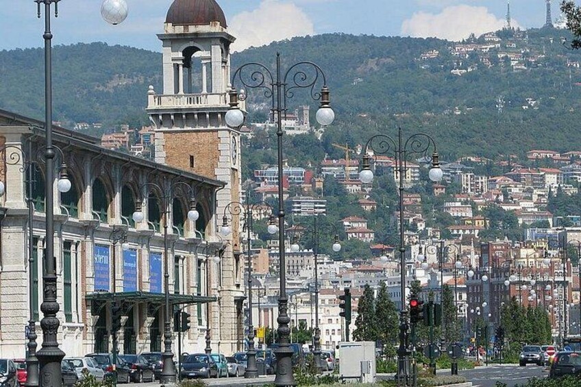 Explore highlights of Trieste on a private 3-hour walking tour 1