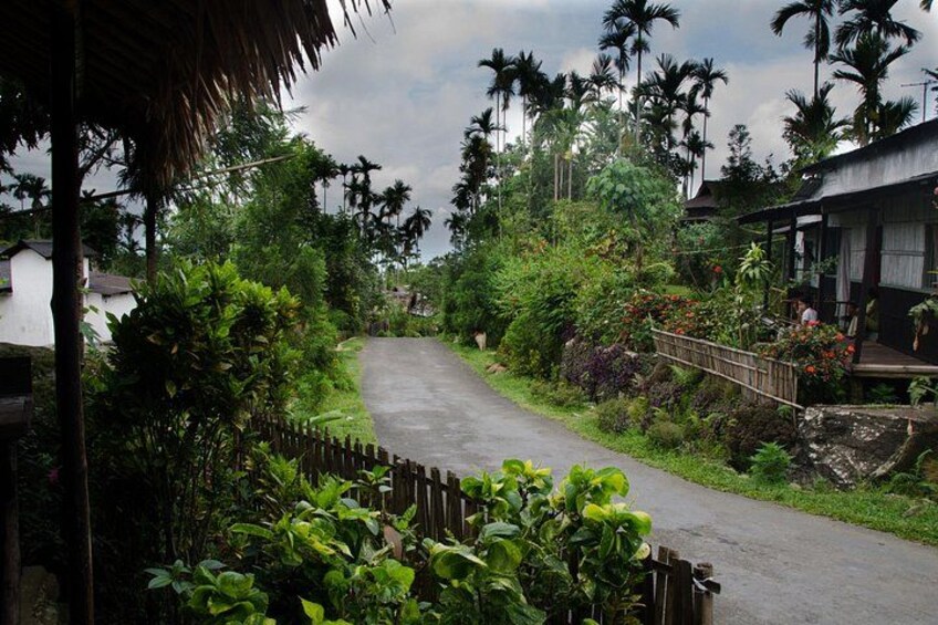 Day Trip to Mawlynnong (Guided Private Sightseeing Experience from Shillong) 4