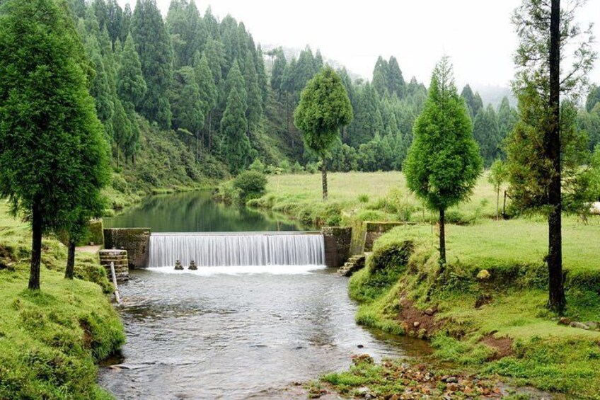 Day Trip to Mawlynnong (Guided Private Sightseeing Experience from Shillong) 3