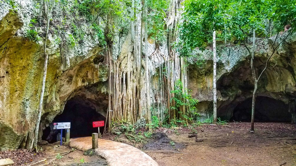 Green Grotto Caves plus Dunns River Falls Day Trip