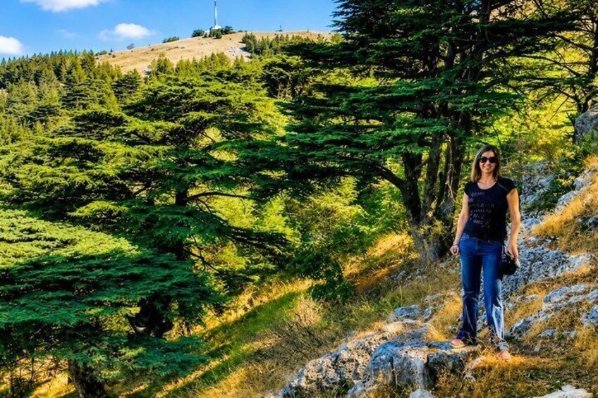 A person standing on a rocky hillside with dense coniferous forest in the background. 1