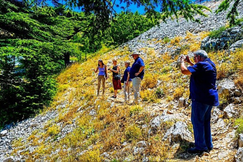 A group of people hiking on a rocky trail surrounded by trees. 2