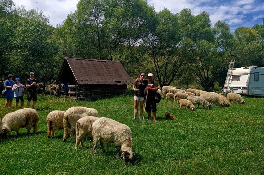 CLUJ ADVENTURE TOUR ! ZIP LINE and HIKE 3