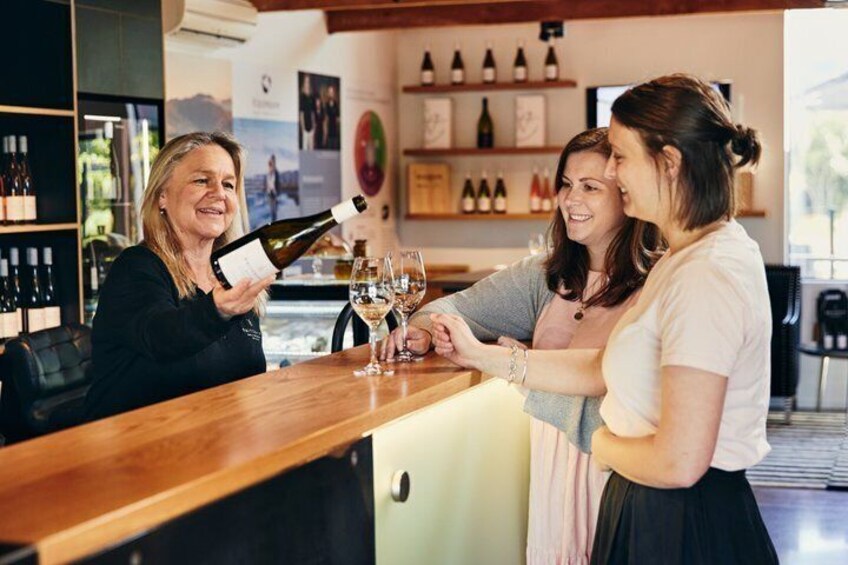 Day of Wine 4