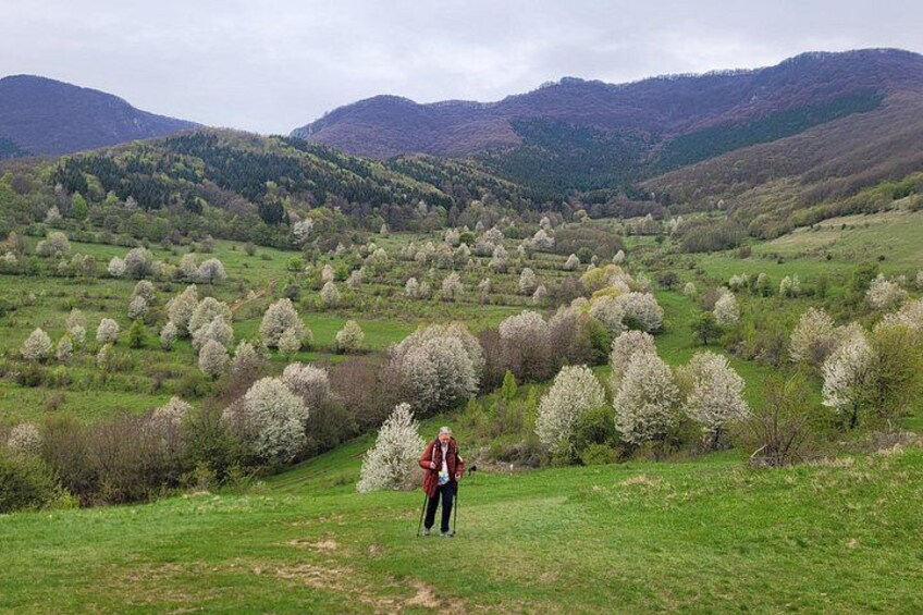 Curly Tour - Day trip from Cluj :) 3