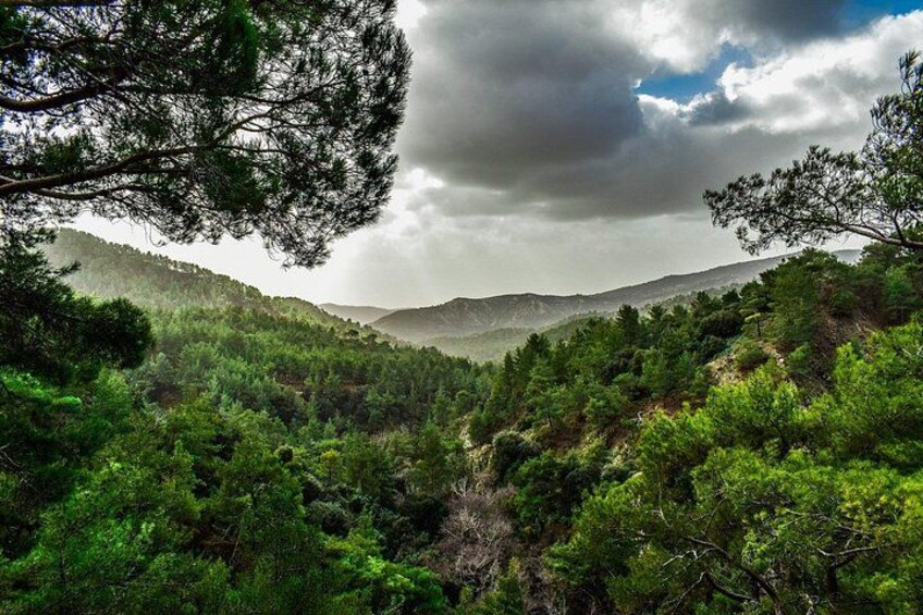 Private Full-Day Tour to Cyprus Monasteries 2