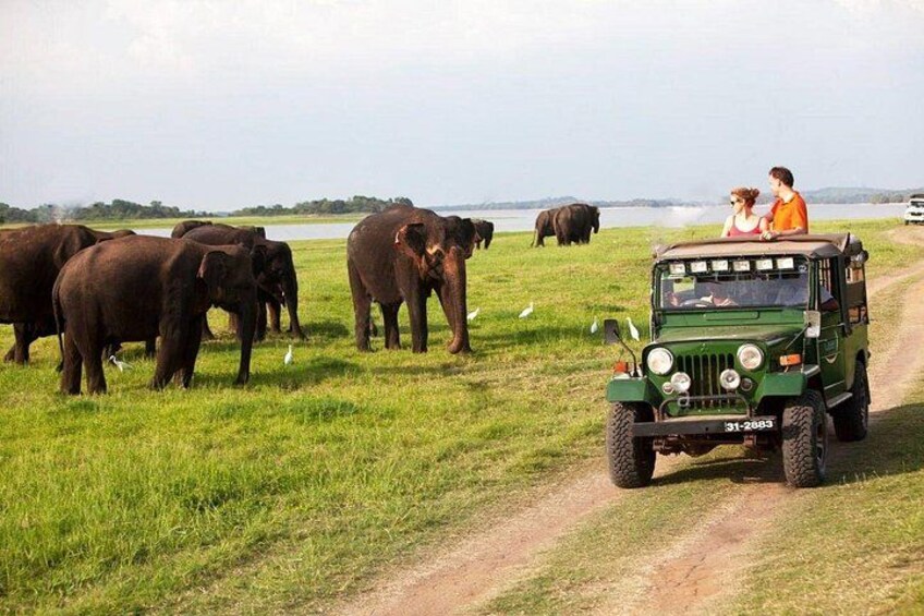 A green off-road vehicle on a dirt path with elephants and a person in the background. 2