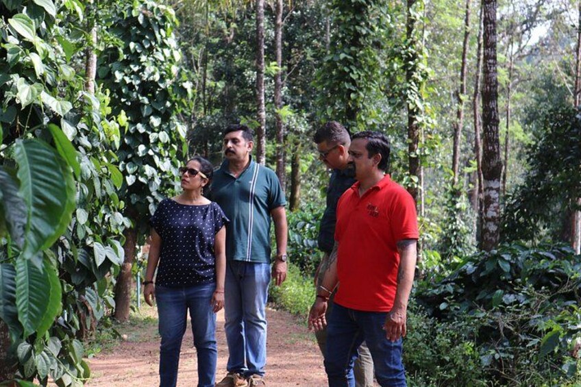 Lush green environment and a bird song to accompany a knowledgeable guide on the tour. 2