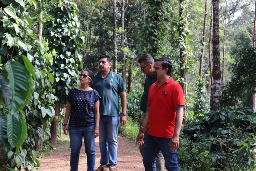 A group of people standing on a dirt path surrounded by dense green foliage and trees. 3