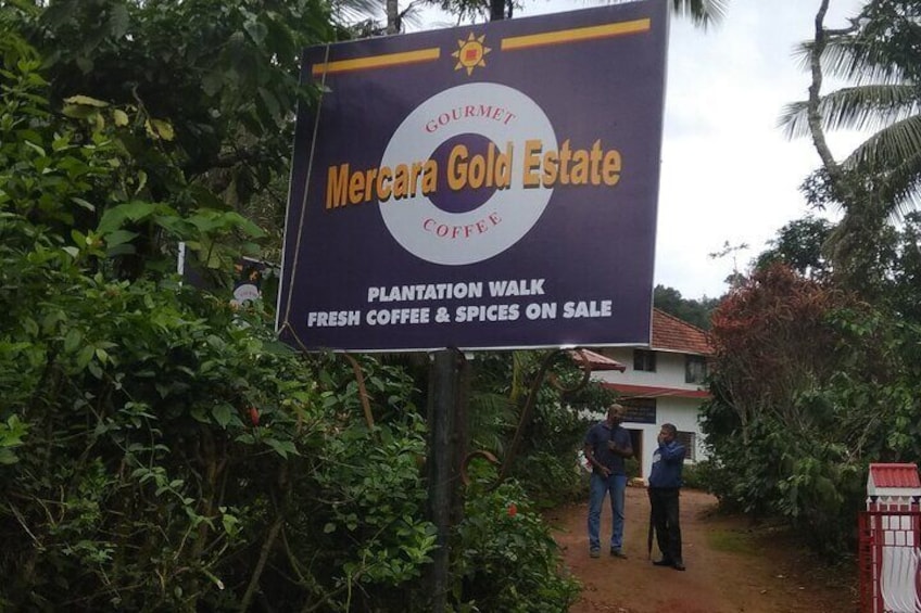 Señal para paseo por la plantación Mercara Gold Estate, con café fresco y especias a la venta. 1