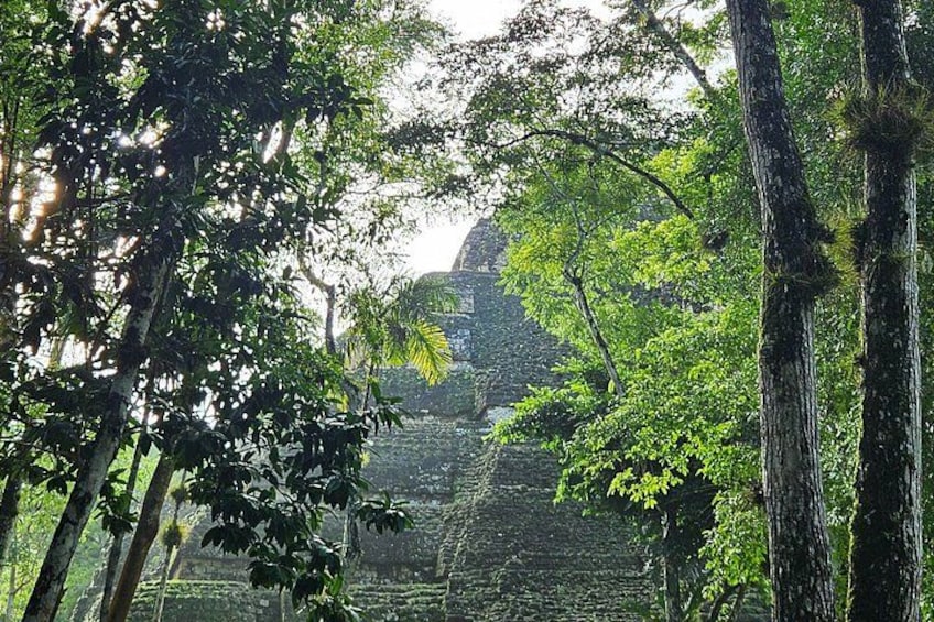 A temple complex surrounded by dense forest. 3