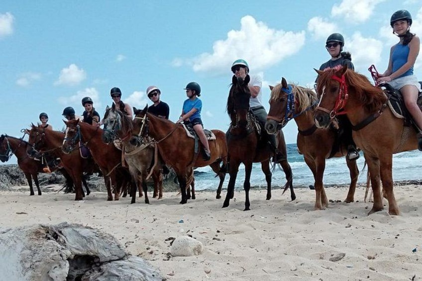Our well-trained, gentle horses are the stars of your Aruba adventure, posing beautifully for pictures against the stunning beach backdrop. 3