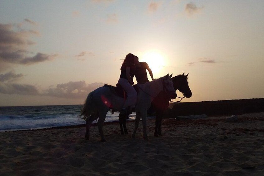 Experience the magic of sunrise on the beach with Hoofs of Hope! Ride along Aruba’s stunning coastline as the first light paints the sky, creating a breathtaking moment you’ll never forget. 2