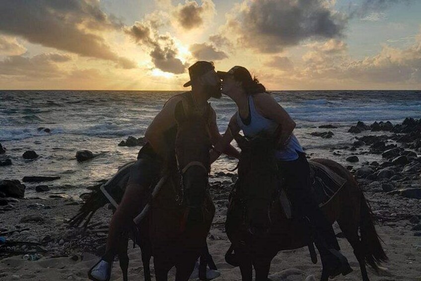 Aruba Ecological & Coastline Horseback Ride with Beach Photo Stop 3