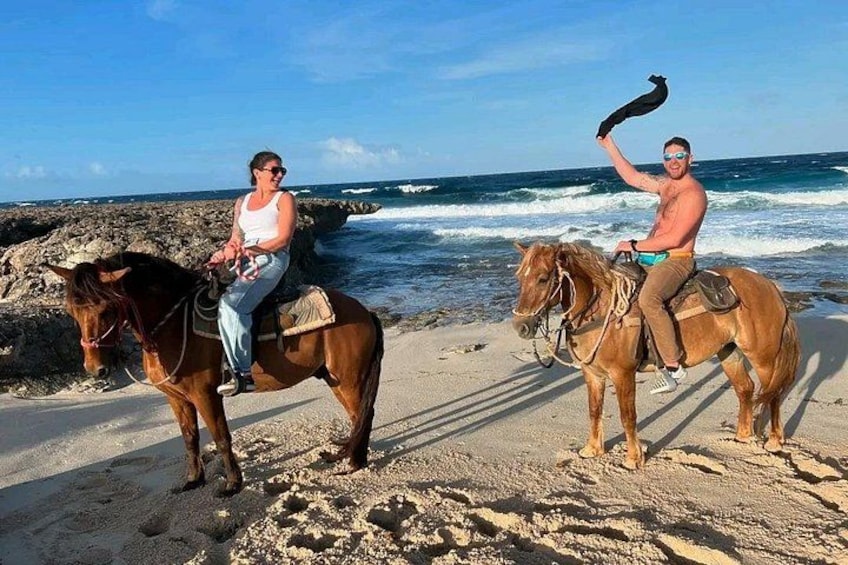 Aruba Ecological & Coastline Horseback Ride with Beach Photo Stop 4