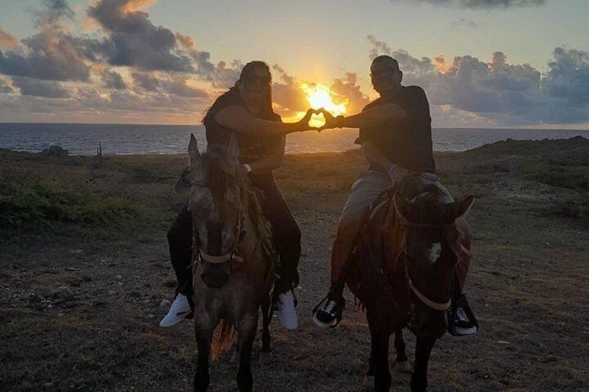 Aruba Ecological & Coastline Horseback Ride with Beach Photo Stop 5