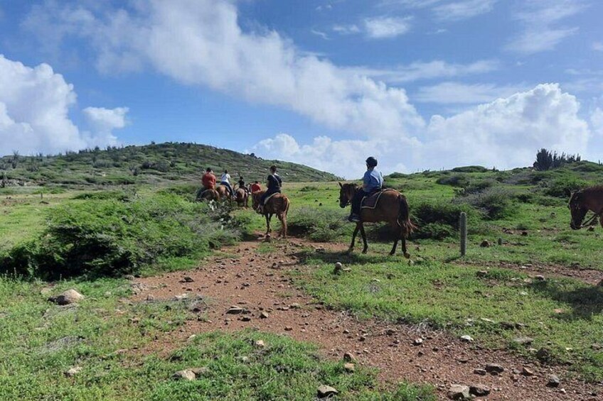 Aruba Ecological & Coastline Horseback Ride with Beach Photo Stop 5