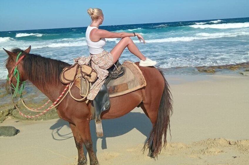 A woman riding a horse on a beach with ocean waves in the background. 3